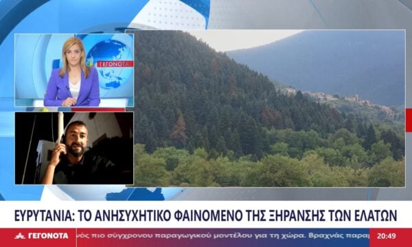 Αυξάνονται τα ξηρά έλατα στα δάση της Ευρυτανίας