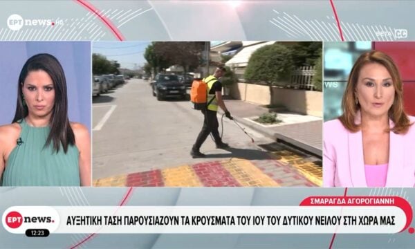 Αυξητική τάση παρουσιάζουν τα κρούσματα του ιού του Δυτικού Νείλου στη χώρα μας