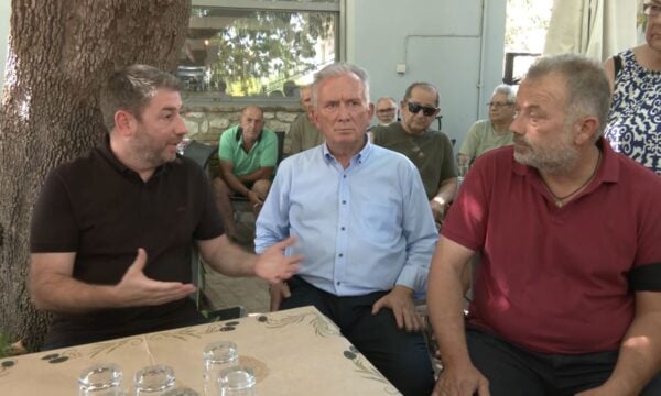 Αυτοψία Ανδρουλάκη στις πληγείσες περιοχές της Βοιωτίας: Ζήτησε άμεσες αποζημιώσεις και ενίσχυση πολιτικής προστασίας
