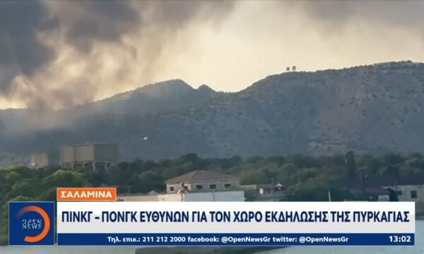 Αυτοψία σε Σαλαμίνα, Κερατέα και Βοιωτία για τις φωτιές