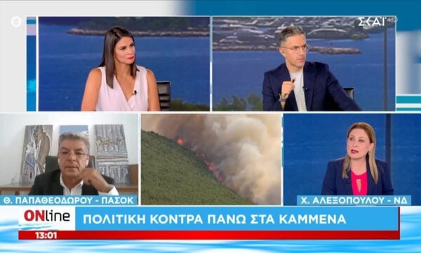 Χ. Αλεξοπούλου για πυρκαγιές: «Η κλιματική αλλαγή έχει φέρει τεράστιες τροποποιήσεις σε αυτό που ξέραμε»