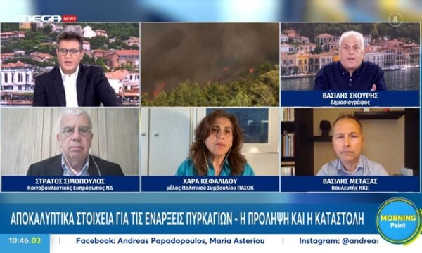 Χ. Κεφαλίδου: «Η κυβέρνηση πρέπει να ρίξει το βάρος της στη διαχείρηση του δάσους και την πρόληψη»