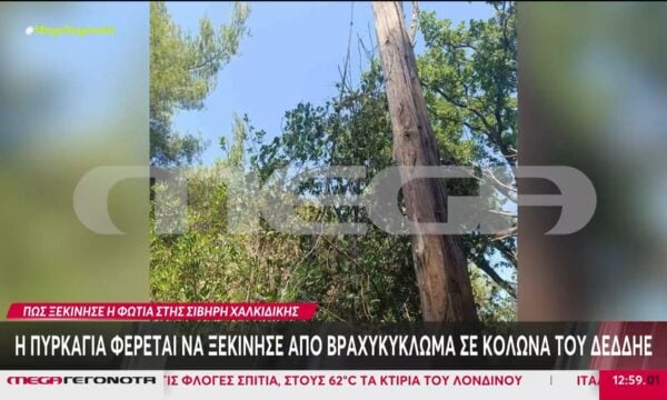 Χαλκιδική: Φωτογραφίες ντοκουμέντο από την κολώνα του ΔΕΔΔΗΕ όπου ξεκίνησε η μεγάλη φωτιά στη Σίβηρη