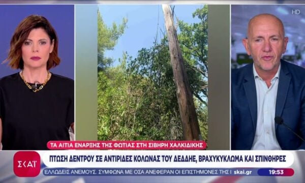 Χαλκιδική: Η επόμενη ημέρα μετά τη μεγάλη φωτιά – Το «ντόμινο» κακών συγκυριών που την προκάλεσε