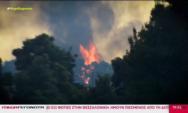 Χαλκιδική: Η επόμενη μέρα της καταστροφικής πυρκαγιάς – Σε επιφυλακή οι Αρχές