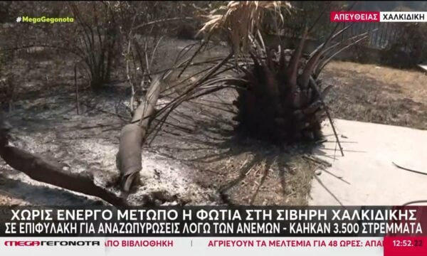 Χαλκιδική: Κάηκαν 3500 στρέμματα στην περιοχή της Σίβηρης – Σε επιφυλακή για αναζωπυρώσεις