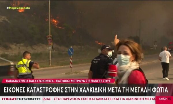 Χαλκιδική: Ο τραγικός απολογισμός της μεγάλης φωτιάς στη Σίβηρη – Δύο συλλήψεις για επίθεση σε δημοσιογράφο
