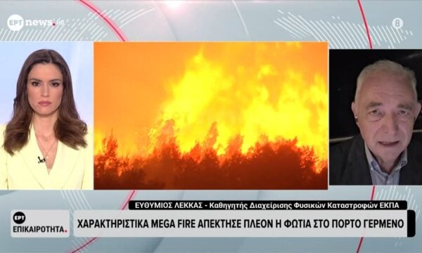Χαρακτηριστικά Mega Fire απέκτησε η φωτιά στο Πόρτο Γερμενό – Ευθ. Λέκκας