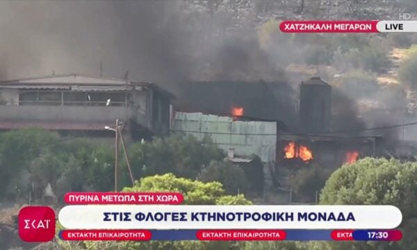 Χατζηκαλή Μεγάρων: Στις φλόγες κτηνοτροφική μονάδα
