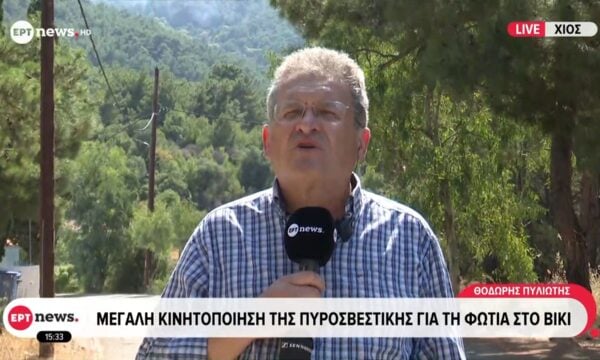Χίος: Μεγάλη κινητοποίηση της πυροσβεστικής για τη φωτιά στο Βίκι