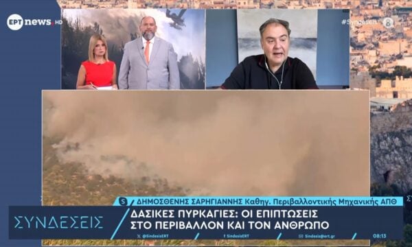 Δασικές πυρκαγιές: Οι επιπτώσεις στον άνθρωπο