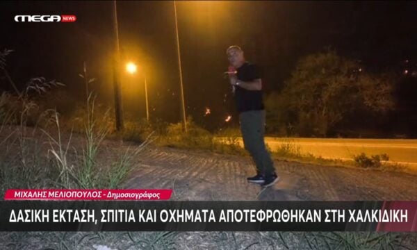 Δασική έκταση, σπίτια και οχήματα αποτεφρώθηκαν στη Χαλκιδική
