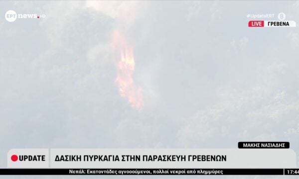 Δασική πυρκαγιά στην Παρασκευή Γρεβενών – Πώς εξελίσσονται οι άνεμοι