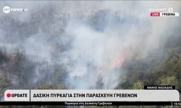 Δασική πυρκαγιά στην Παρασκευή Γρεβενών