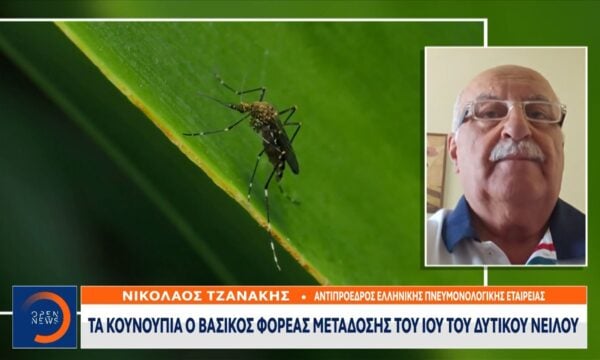 Δεύτερη στην Ευρώπη η Ελλάδα σε κρούσματα ιού του Δυτικού νείλου – Συναγερμός στην Αττική με 157 κρούσματα και 13 νεκρούς