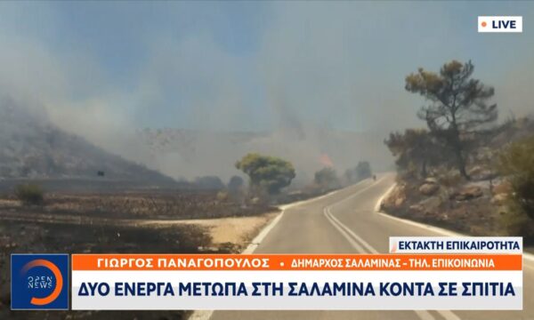 Δήμαρχος Σαλαμίνας: «Κάηκαν σπίτια από την φωτιά»