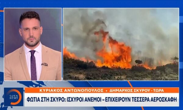 Δήμαρχος Σκύρου: «Τα εναέρια μέσα έχουν κάνει τη διαφορά»