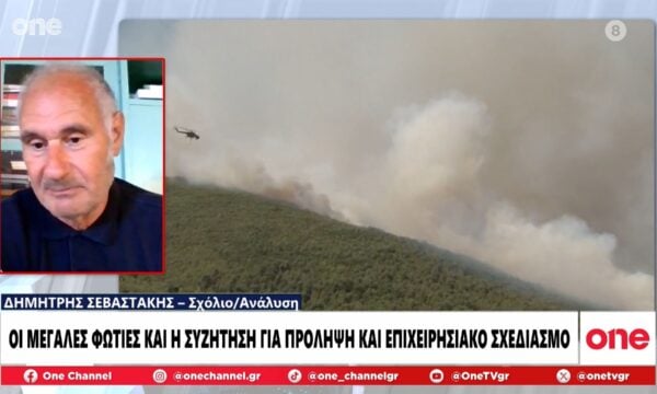 Δημήτρης Σεβαστάκης: «Η κυβέρνηση δεν έχει διδαχθεί 7 χρόνια από αυτό που κατήγγειλε για τις πυρκαγιές»