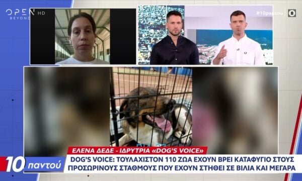 «Dog’s voice» – H μάχη για τη διάσωση των ζώων στα πύρινα μέτωπα