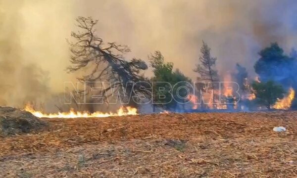 Δραματική μάχη με τις φλόγες στην Αττικοβοιωτία – Καίγεται ανεξέλεγκτα το Κρύο Πηγάδι