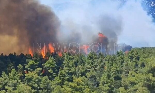 Δραματική μάχη με τις φλόγες στην Αττικοβοιωτία