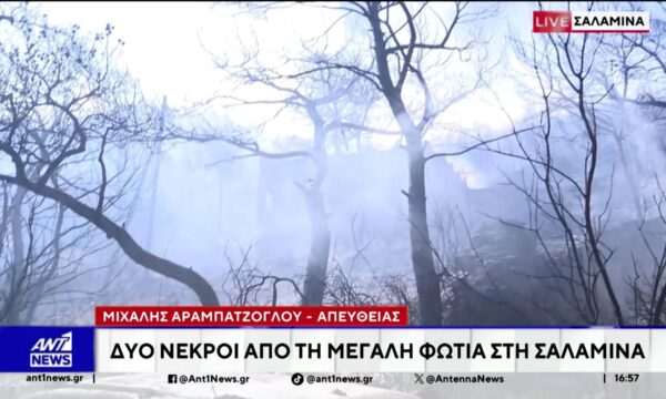 Δυο νεκροί από την πυρκαγιά στη Σαλαμίνα