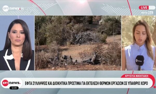 Δύο συλληφθέντες για την πυρκαγιά στη Βοιωτία