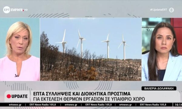 Δυο συλληφθέντες για την πυρκαγιά στην Βοιωτία