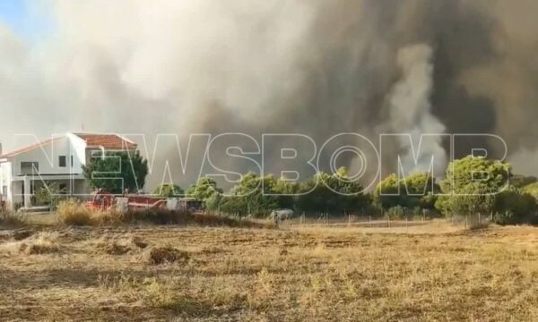 Δυτική Αττική: Πύρινη κόλαση σε Ψάθα και Λούμπα, οι φλόγες καίνε μέσα στους οικισμούς