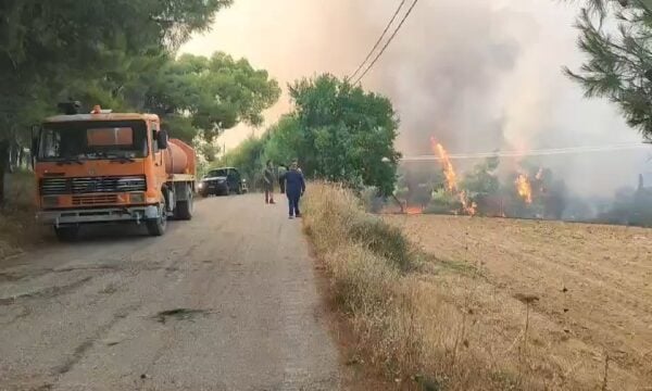 Δυτική Αττική: Πύρινη κόλαση σε Ψάθα και Λούμπα