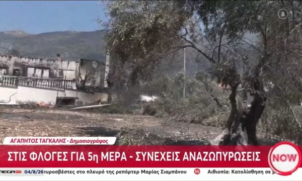 Δυτική Αττική & Βοιωτία: Αποκαρδιωτική η εικόνα την επόμενη μέρα των πυρκαγιών
