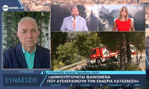 Ε. Λέκκας: «Δημιουργούνται φαινόμενα που δυσχεραίνουν την εναέρια κατάσβεση»
