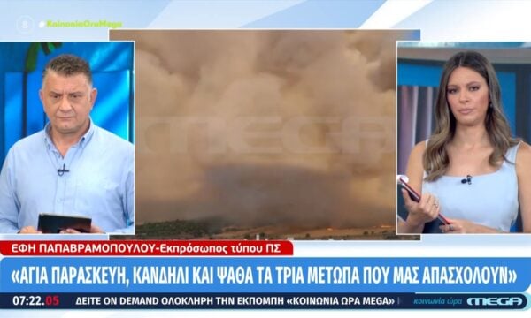Ε. Παπαβραμοπούλου: «Αγία Παρασκευή, Κανδήλι και Ψάθα τα τρία μέτωπα που μας απασχολούν»