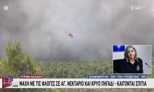 Ε. Παπαβραμοπούλου – Εκπρ. Τύπου Πυροσβεστ.: Δεν μπορούν να πετάξουν τα αεροπλάνα λόγω αναταράξεων