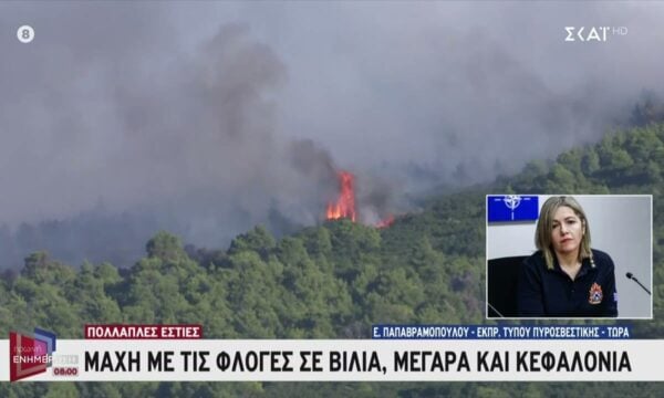 Ε. Παπαβραμοπούλου – Εκπρ. Τύπου Πυροσβεστ. για την μάχη με τις φλόγες σε Βίλια, Μέγαρα & Κεφαλονιά