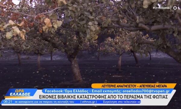 Εικόνες βιβλικής καταστροφής από το πέρασμα της φωτιάς