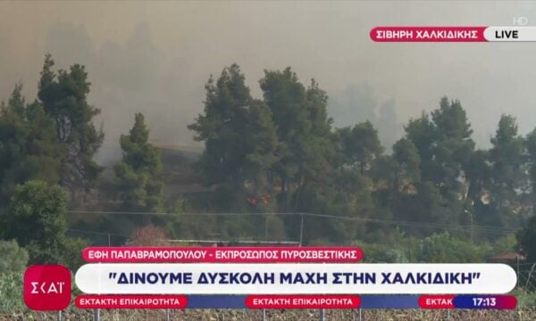 Εκπρόσωπος Πυροσβεστικής: “Δίνουμε δύσκολη μάχη στη Χαλκιδική”