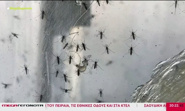 «Έκρηξη» κρουσμάτων του ιού του Δυτικού Νείλου – Πώς θα προστατευτείτε
