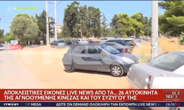 Εξαφάνιση Γιου Τινγκ: Παραμένει άφαντη εδώ και τρεις μήνες η Κινέζα – Αποκλειστικές εικόνες από τα 26 αυτοκίνητα εκείνης και του συζύγου της