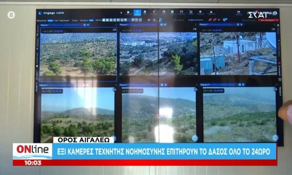 Έξι κάμερες τεχνητής νοημοσύνης επιτηρούν το δάσος όλο το 24ωρο