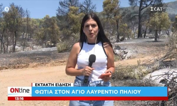 Έκτακτη είδηση: Φωτιά στον Άγιο Λαυρέντιο Πηλείου