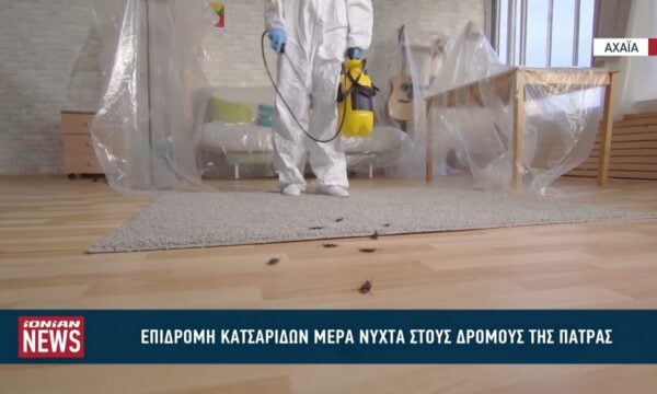 «Επιδρομή» κατσαρίδων μέρα – νύχτα στους δρόμους της Πάτρας