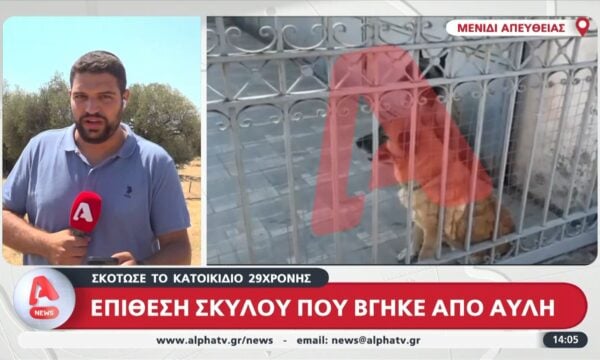 Επίθεση σκύλου που βγήκε από αυλή σε 29χρονη – Σκότωσε το κατοικίδιό της
