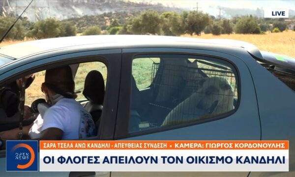Εθελοντές σώζουν δύο σκυλιά που εγκαταλείφθηκαν στις φλόγες