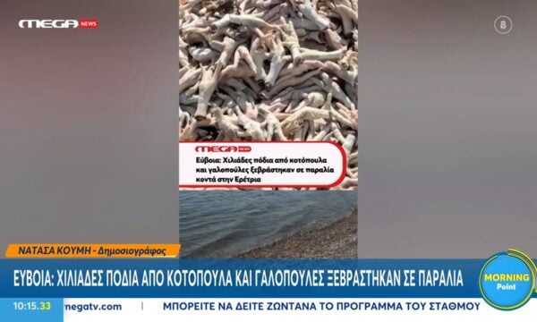Εύβοια: Χιλιάδες πόδια κοτόπουλων ξεβράστηκαν στην παραλία της Ερέτριας