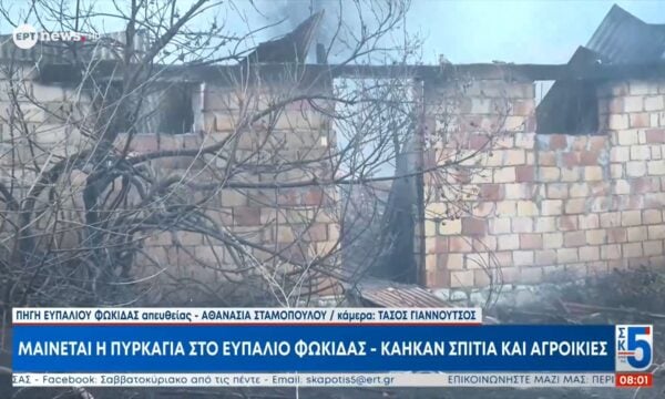Φωκίδα: Βελτιωμένη η εικόνα της πυρκαγιάς – Ολονύκτια μάχη με αναζωπυρώσεις – Κάηκαν τουλάχιστον δύο σπίτια