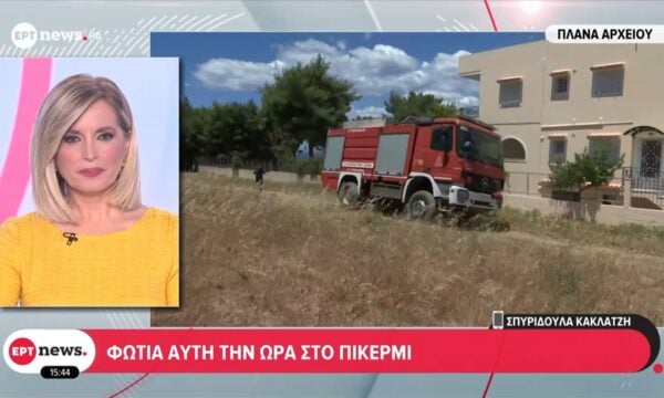 Φωτιά αυτήν την ώρα στο Πικέρμι