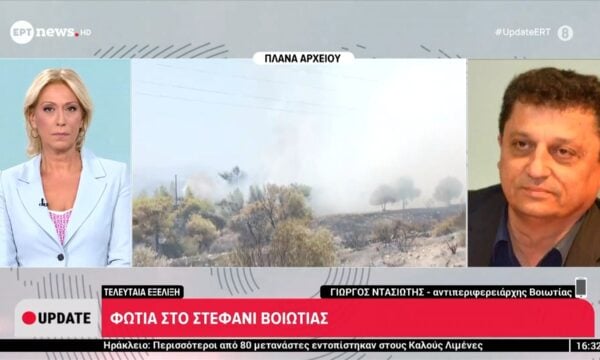 Φωτιά αυτήν την ώρα στο Στεφάνι Βοιωτίας