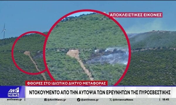 Φωτιά σε Αττική και Βοιωτία: Οι απολογίες των κατηγορουμένων