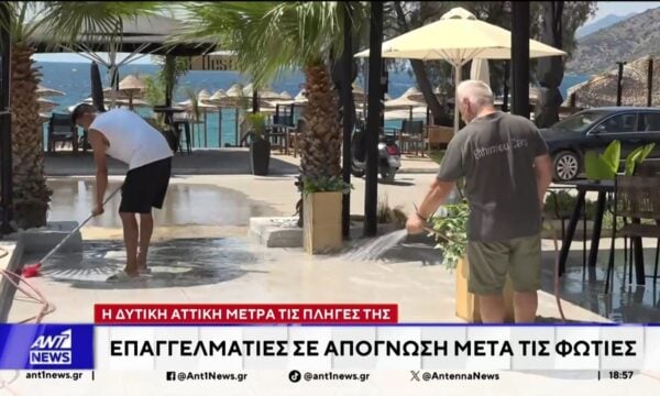 Φωτιά σε Αττική και Βοιωτία: Σε απόγνωση οι κάτοικοι των πυρόπληκτων περιοχών